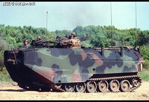 国产aav